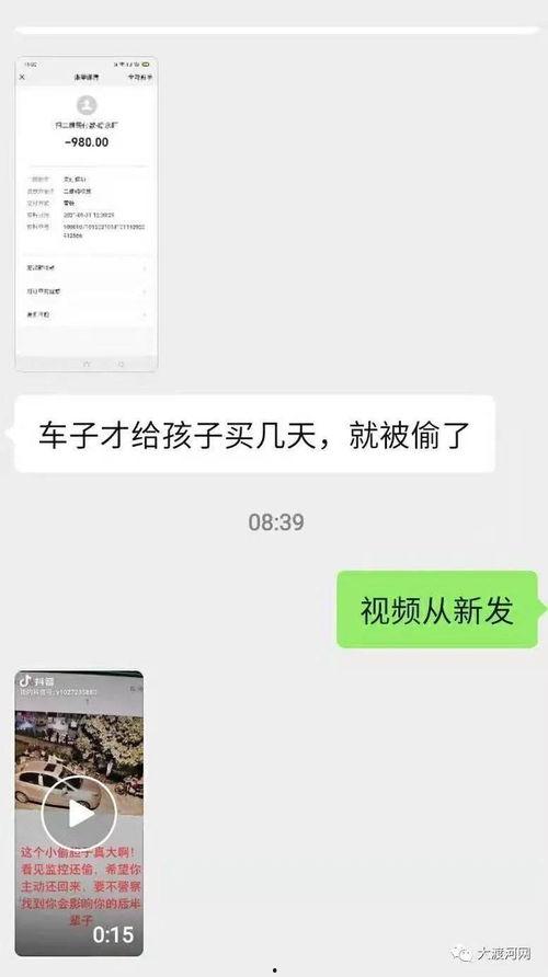我家熊孩子爆料视频,揭秘家庭欢乐日常瞬间