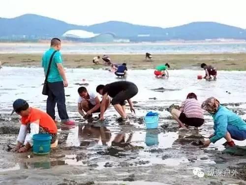 海南赶海爆料网站大全最新,探索海滩的秘密宝藏  第2张