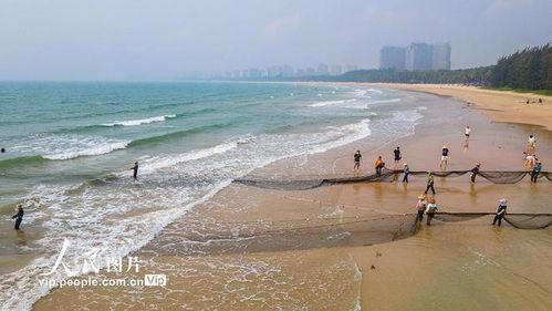 海南赶海爆料网站大全最新,探索海滩的秘密宝藏  第3张