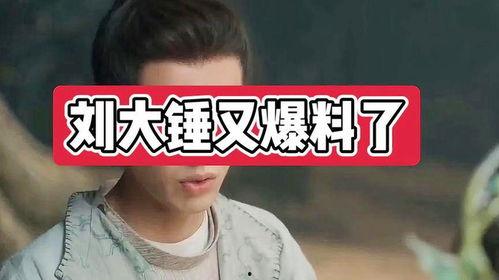 刘大锤2025最新爆料,揭秘娱乐圈惊天秘密 第3张 刘大锤2025最新爆料,揭秘娱乐圈惊天秘密 第3张