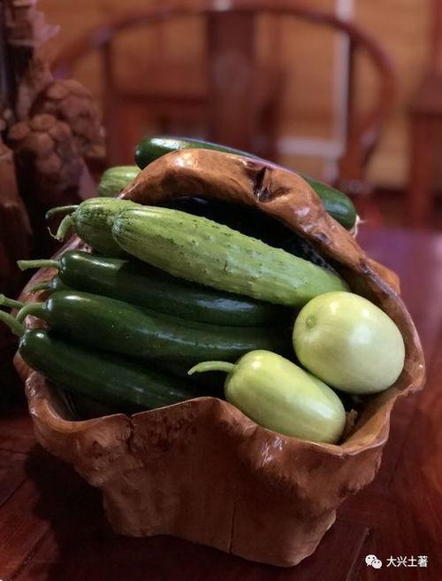 网红瓜怎么整的吃,轻松解锁美味新吃法 第3张 网红瓜怎么整的吃,轻松解锁美味新吃法 第3张